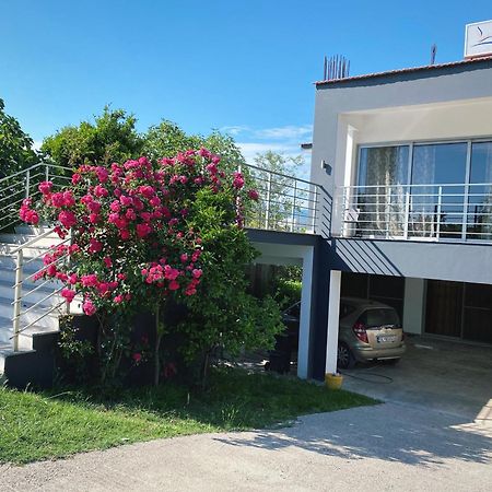 Leli Apartments Ulcinj Bagian luar foto